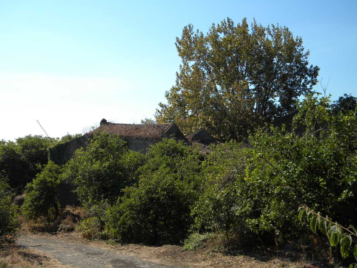 DSCN8197 .JPG